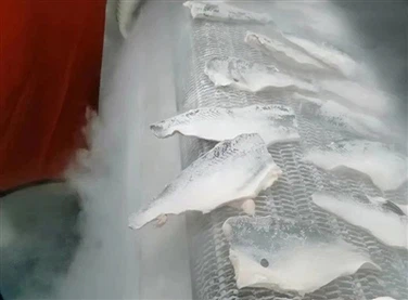 Can Liquid Nitrogen Freezers Be Applied in Commercial Kitchens?