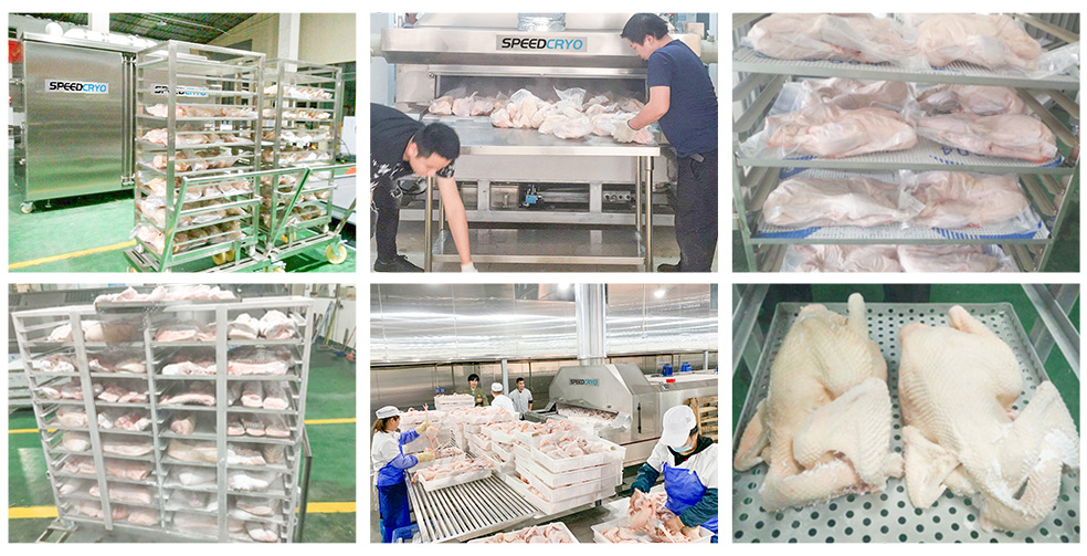 liquid nitrogen freezer for chicken
