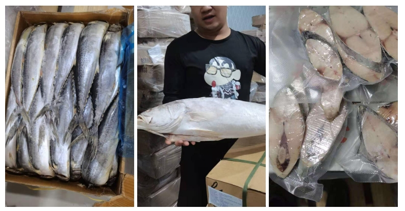 liquid nitrogen freezer frozen seafood